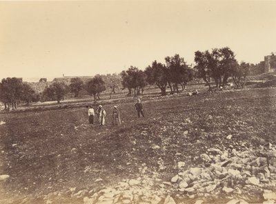 Panoramablick auf die Stadt - Gesamtansicht der Stadt von Norden von Sgt. James M. McDonald